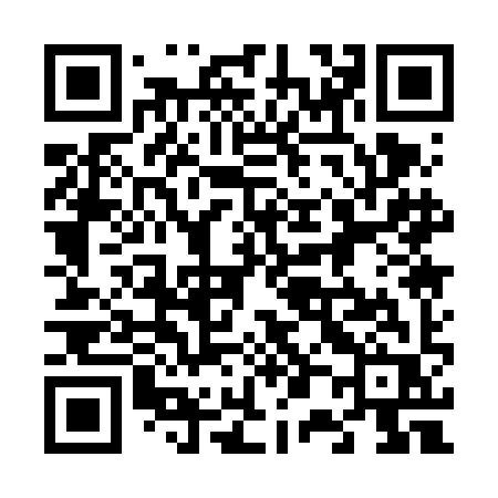 QR code for 6016IR