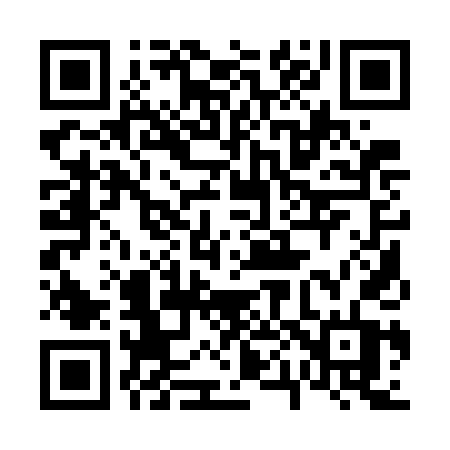 QR code for 6017DT