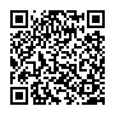 QR code for 6017SR