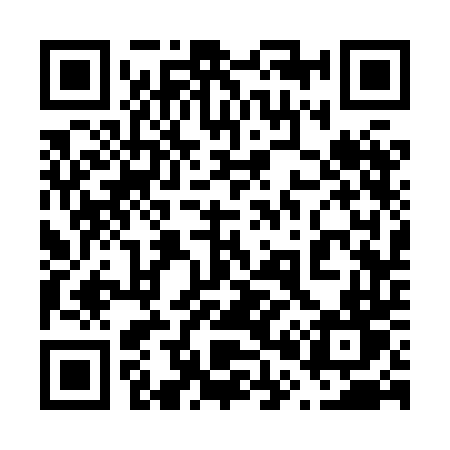 QR code for 6038DT