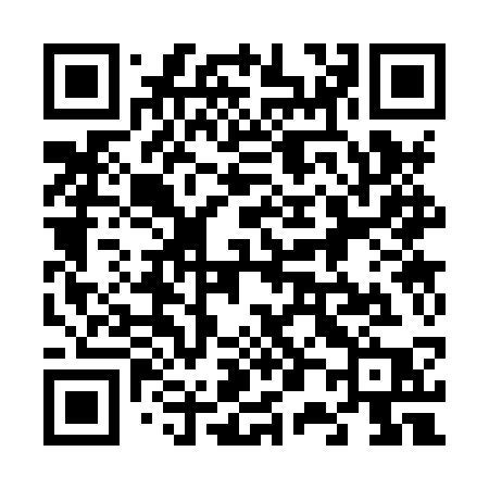QR code for 6038SP