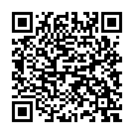 QR code for 6041PO