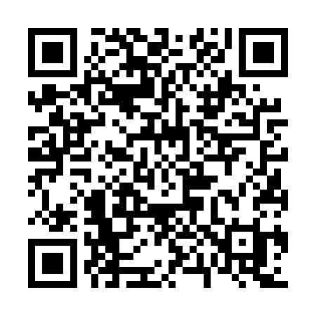 QR code for 6065SI