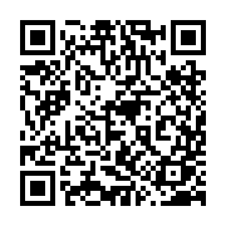 QR code for 6113DQ