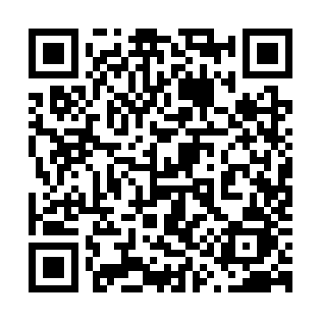 QR code for 6113ZJ