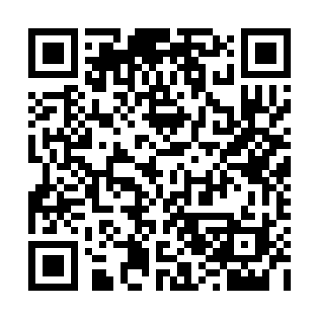 QR code for 6233PI