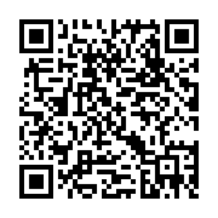 QR code for 6295QE