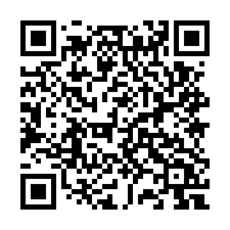 QR code for 6295TT