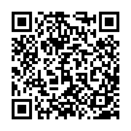 QR code for 6300YS