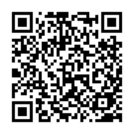 QR code for 6313IE