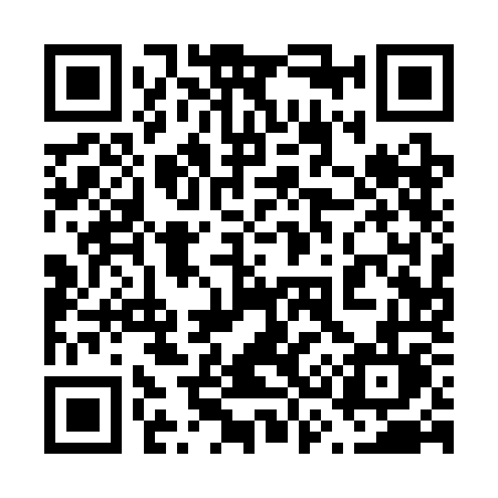QR code for 6313OL