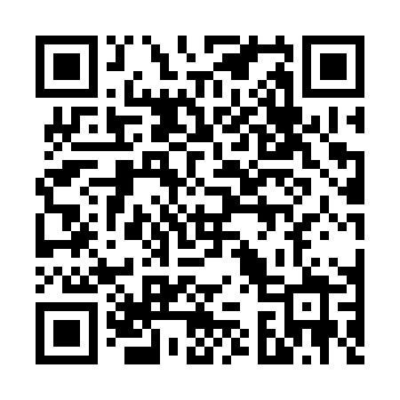 QR code for 6313PZ