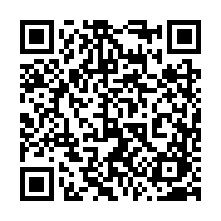 QR code for 6313VO