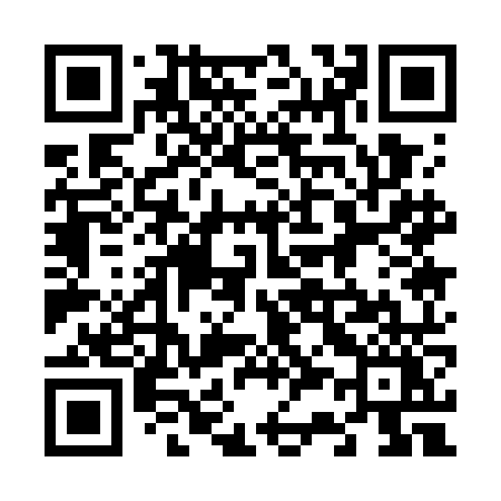 QR code for 6317NY