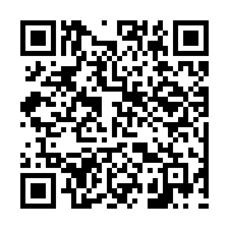 QR code for 6333IE