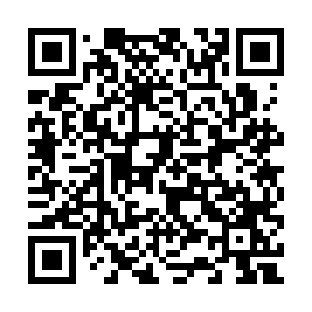 QR code for 6333LO