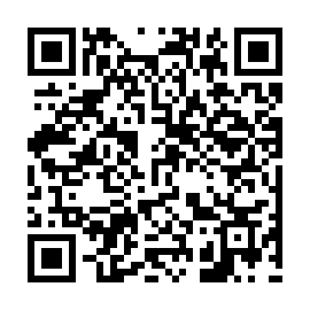 QR code for 6333SS