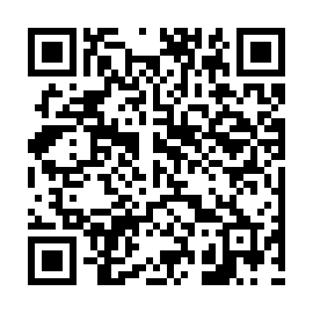 QR code for 6333WP