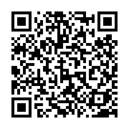 QR code for 6334SI