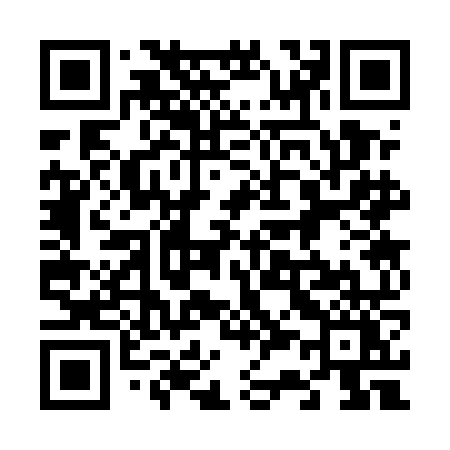 QR code for 6335NY