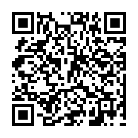 QR code for 6338DS