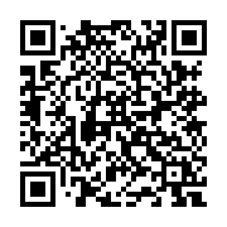 QR code for 6338EX