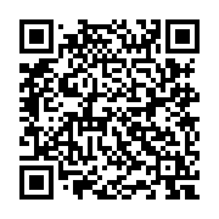QR code for 6338IX