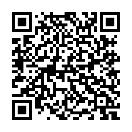 QR code for 6338LD