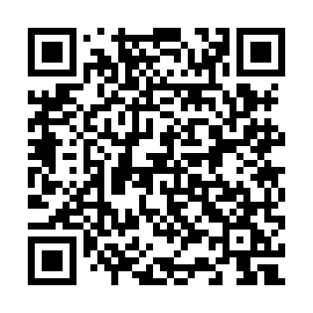 QR code for 6338MG