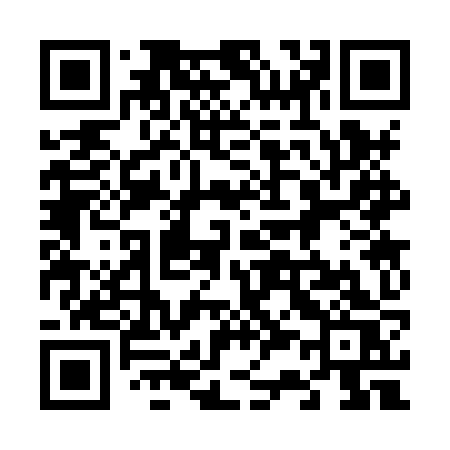 QR code for 6338ZS