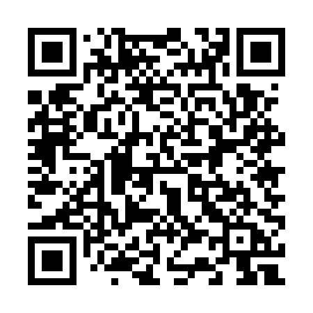 QR code for 6355PA