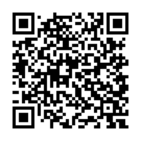 QR code for 6368LV