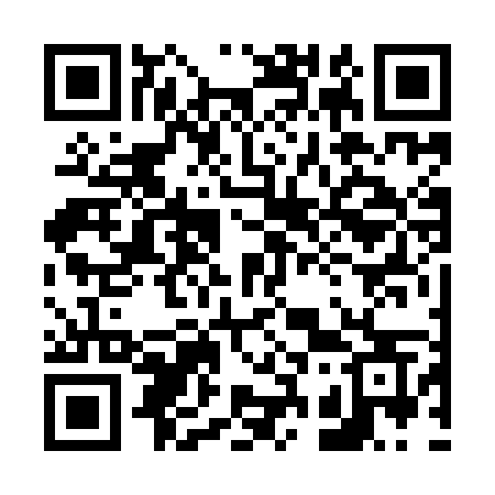 QR code for 6369MS