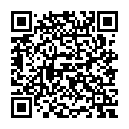 QR code for 6381OI