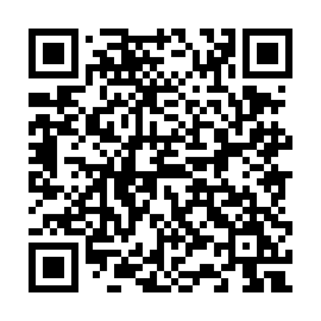 QR code for 6384DM