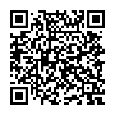QR code for 6384XS