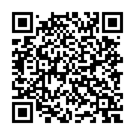 QR code for 6384ZT