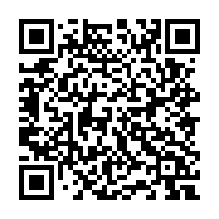 QR code for 6385TT
