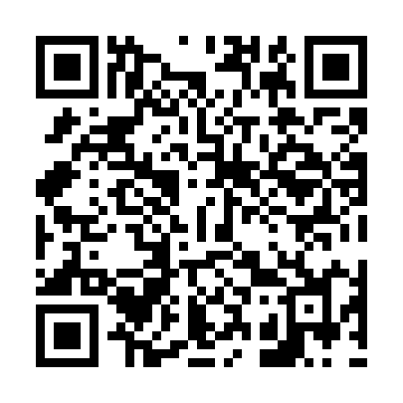 QR code for 6387IJ