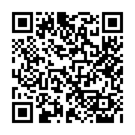 QR code for 6387MP