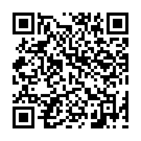 QR code for 6387ZO