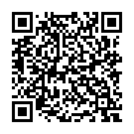 QR code for 6389AN