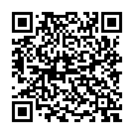 QR code for 6389PH