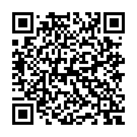 QR code for 6390FI
