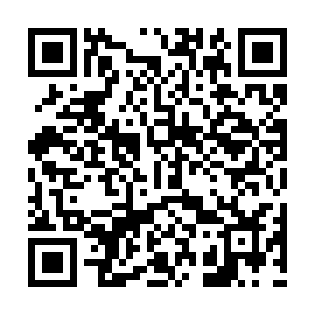 QR code for 6393CZ