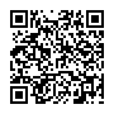 QR code for 6393IK