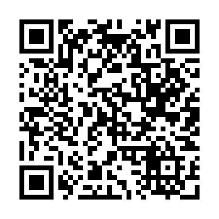 QR code for 6393NE