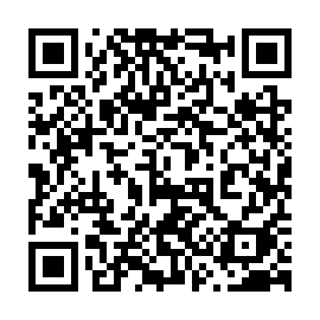 QR code for 6393QI