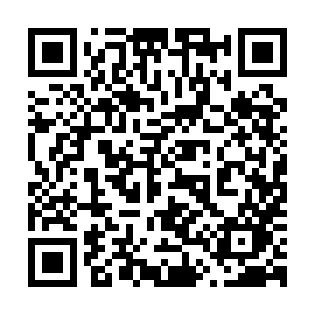 QR code for 6411HO