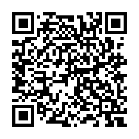 QR code for 6411IV
